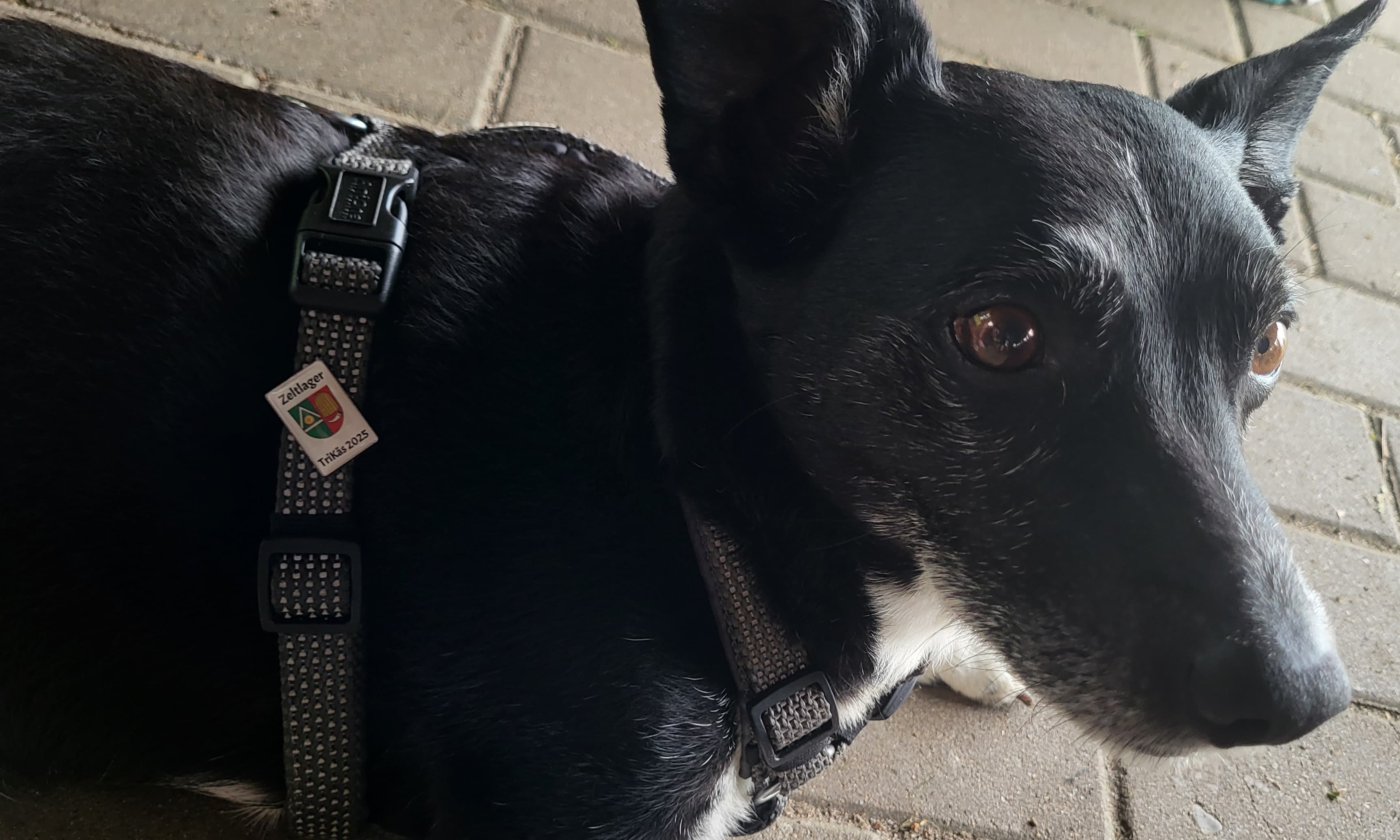 WhatsApp Bild 2025 06 30 um 19.47.06 a4f73f3c